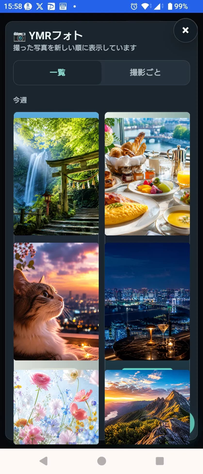 YMR Photo gallery showing travel, food, cat, night view, flowers, and mountain photos